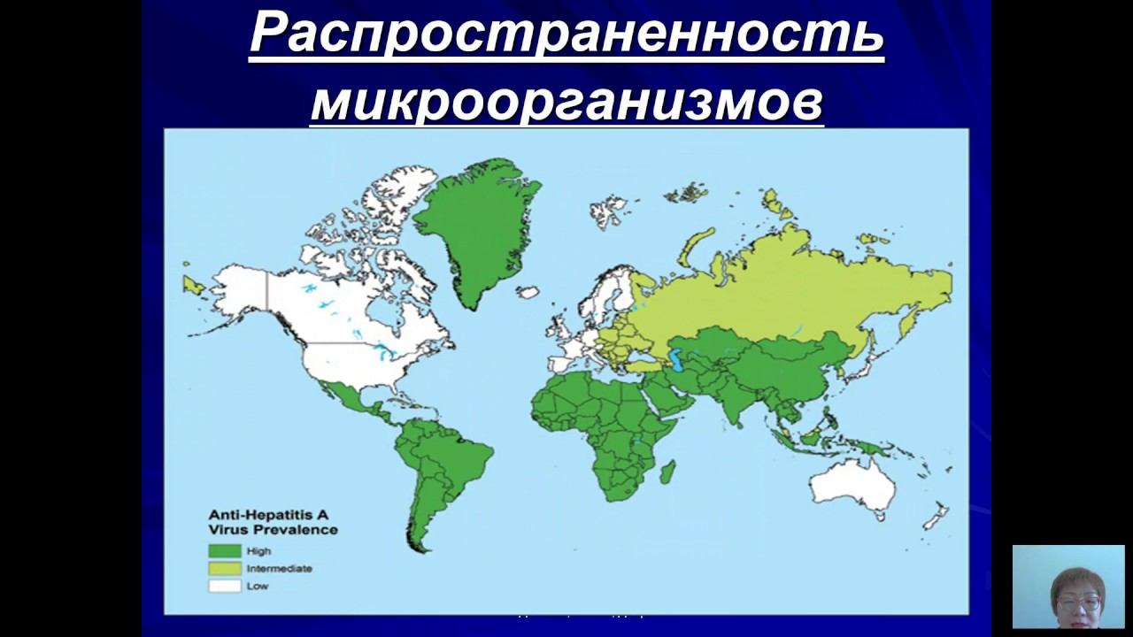 Общая микробиология (Бадлеева М.В.) - 1 лекция