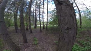 Озеро Ритца Липецкая область Капитанщино