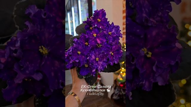 🏫🐇🍒ЛФ-Вкусное Варенье и ЕК-Огни Салюта в нашей новогодней ❄️🎄🌟студии "Кухня Фиалки "🐇