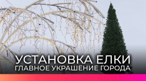 На Софийской площади продолжается монтаж новогодней елки