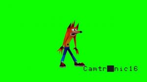 Bandicoot woah 1