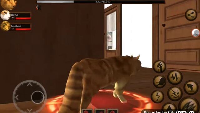 UltCatSim  симулятор кошки кота . Игра для детей.