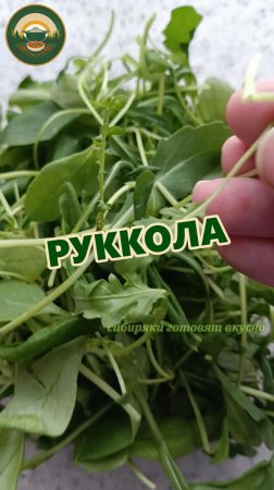 Руккола: пикантная зелень для вашего здоровья и вкуса.