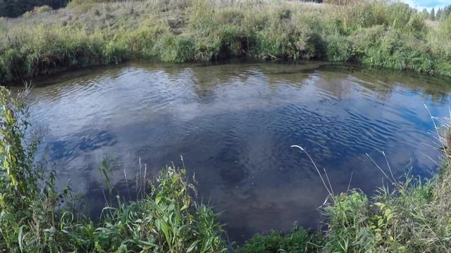 ОХОТА НА УТКУ 2020!!!Охота с подхода!!!Пробуем дисперсанты!!! смотреть онлайн