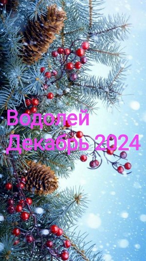 Таро расклад. Водолей. Декабрь 2024. 🌟✨💫