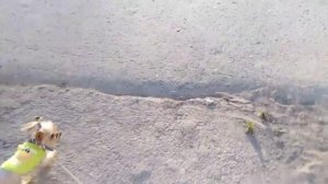 VLOG: Прогулка в центре🌳