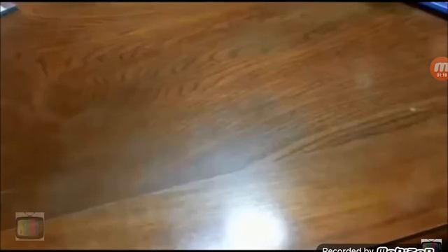 Розовая собачка популярная