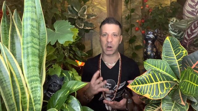 ARIES ♈️ WHAT HAPPENS NEXT TRANSFORMS YOUR LIFE FOREVER - Aries Horoscope Tarot February 2023 смотреть онлайн