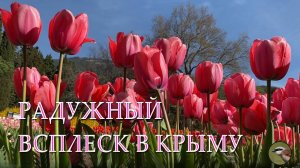 15 Парад Тюльпанов