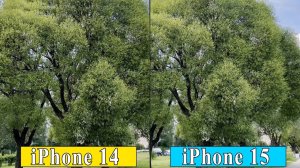 iPhone 14 vs. iPhone 15 -   Сравнение камер (дневной свет, стабилизация, ночной режим)