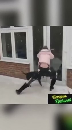 Гололёд 3