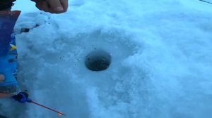 Зимняя рыбалка на озере! наловили кучу рыбы! 👍