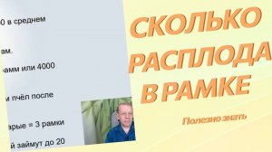 Сколько ячеек и расплода в рамке 460 мм и для чего это надо знать?