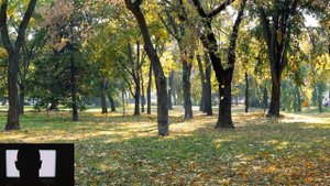 Жизненные истории. Страшные. Мистические. Творческие истории. Хоррор