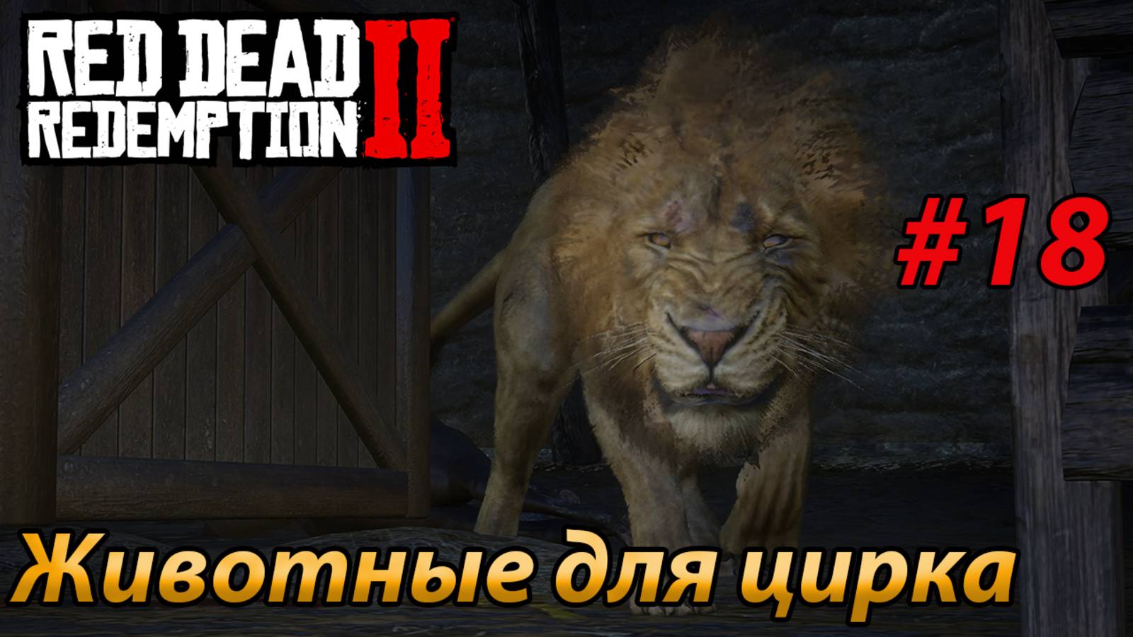 Животные для цирка l Прохождение Red Dead Redemption 2 l Часть 18