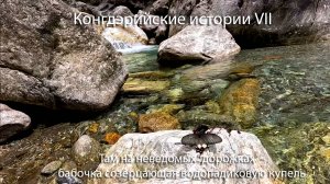 Место где бабочка созерцает водопадики и купели _ A place where a butterfly contemplates waterfalls