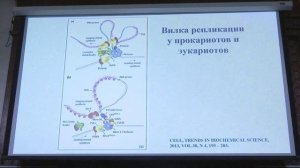 Клеточная биология. Профессор Онищенко Галина Евгеньевна (Лекция 3)