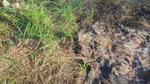 2023 год Август. Большой Кумикуш. 21