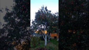 ЖИЗНЬ НАС УЧИТ...