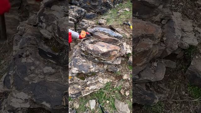 Ценная находка
