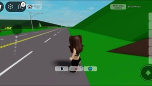 В Roblox очень нравится разнообразие игр и графика.    -ProСаша