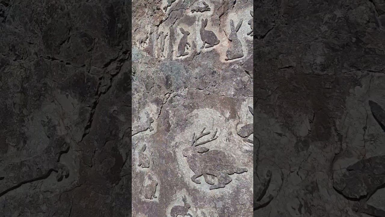 современная наскальная живопись, скала зайцев смотреть онлайн