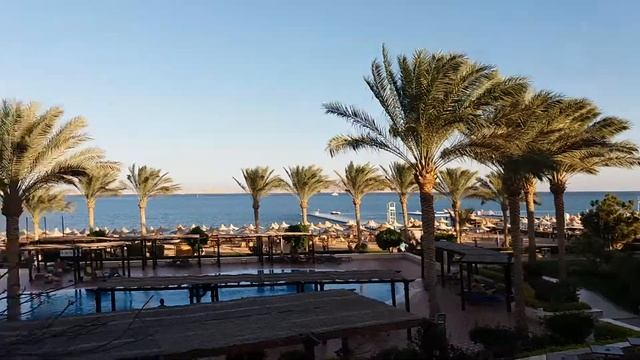 14 ноября 2017 г. Шарм-Эль-Шейх смотреть онлайн