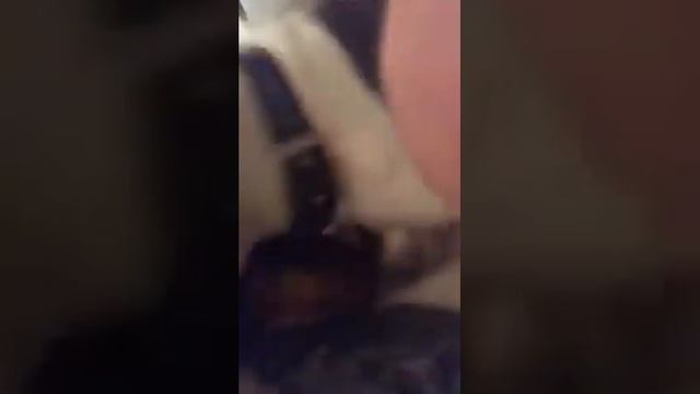 Джерард Батлер и собаки 10 10 20