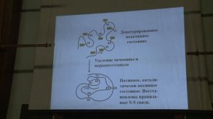 Асеев В. В. - Основы биохимии - 11. Функции белков