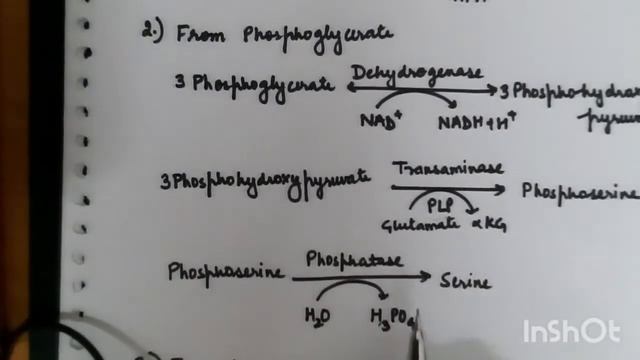 Serine metabolism смотреть онлайн