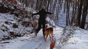 Первый снег. Начало зимы. Красавица зима вступает в свои владения. Музыка.