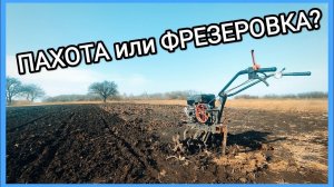 ПАХОТА или ФРЕЗЕРОВКА? Что лучше для огорода?