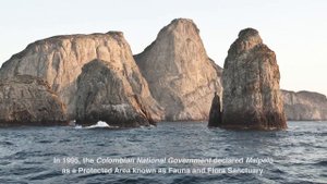 Malpelo island