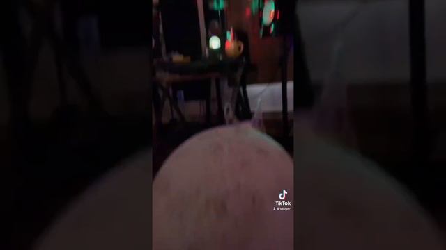 Собака танцует смотреть онлайн