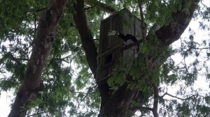 с острова на материк