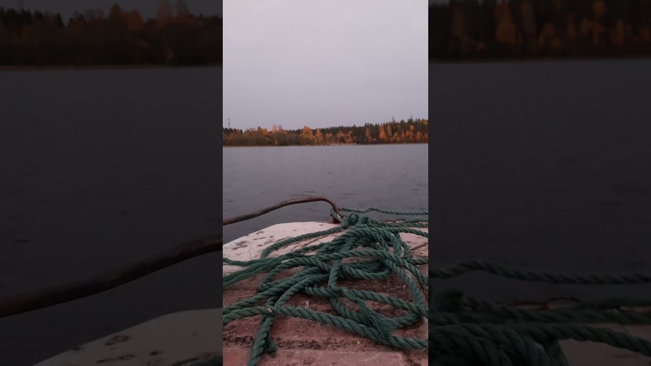 домой летим. как федерико смотреть онлайн