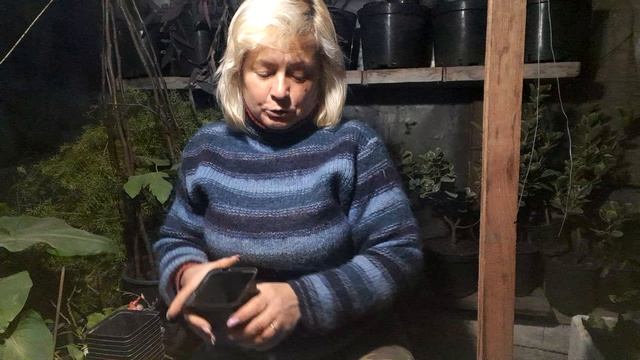 Клубника - состав грунта для укоренения усов.