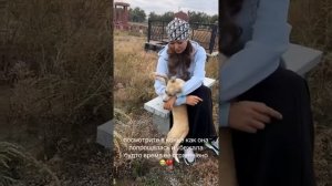 Из  неоткуда появляется собака и бежит ко мне обниматься #друг#жизнь