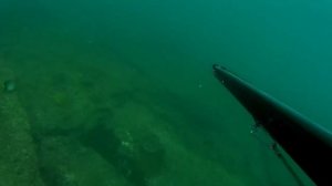 подводная охота шри ланка