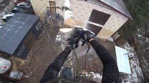 Удаление пяти больших берёз