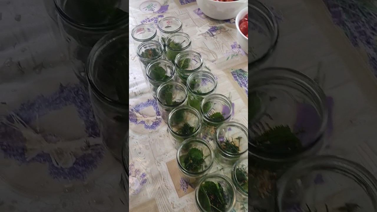 продолжаю заготовки заготавливать))))#автоклав #готовимдома #закатки #томаты