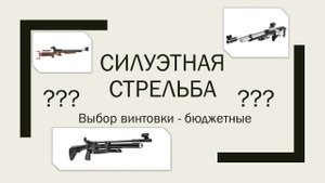 #НЕИСТОРИЯ. Винтовка для "силуэтки" (СК "Атаман", базовый класс). Часть 1 - бюджетный сегмент