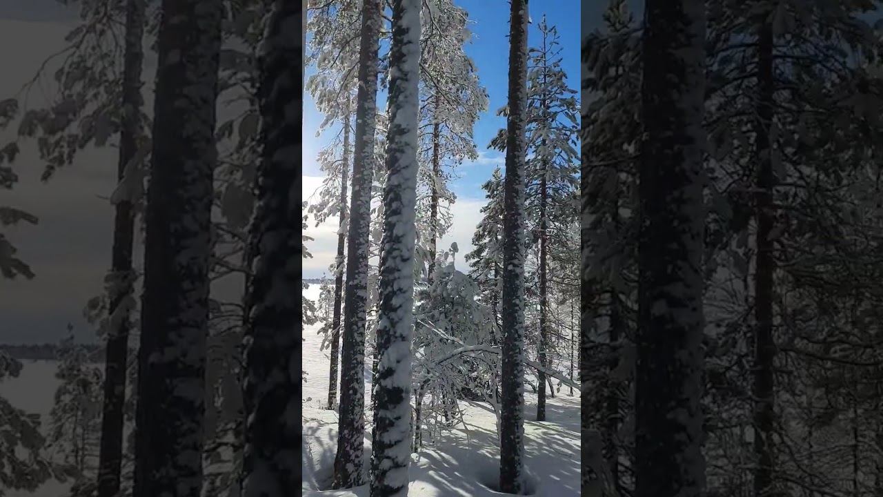 весна март месяц #snow #winter #nature #travel #skiing #adventure смотреть онлайн