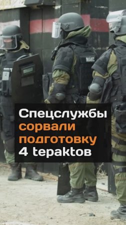 Спецслужбы сорвали подготовку 4 tepaktoв