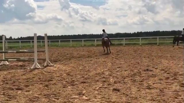 Кск "орловское подворье " смотреть онлайн