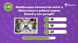 ВИКТОРИНА Кошачьи РЕКОРДЫ