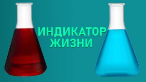 Индикатор жизни