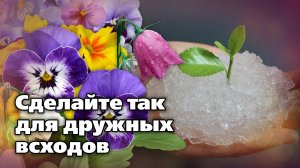 Способы стратификации семян. Ради крепких, здоровых и дружных всходов