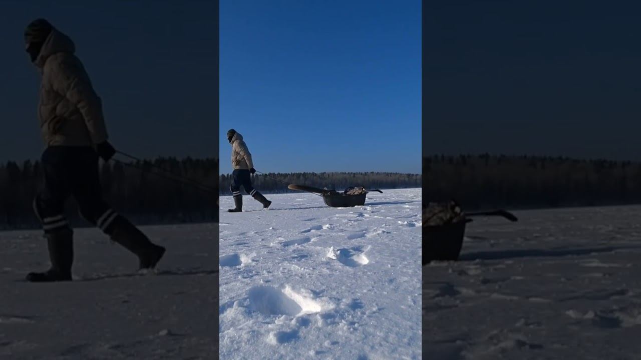 зима, солнце, иду #shorts смотреть онлайн