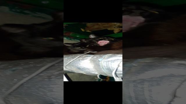 малыши залезли на трубу